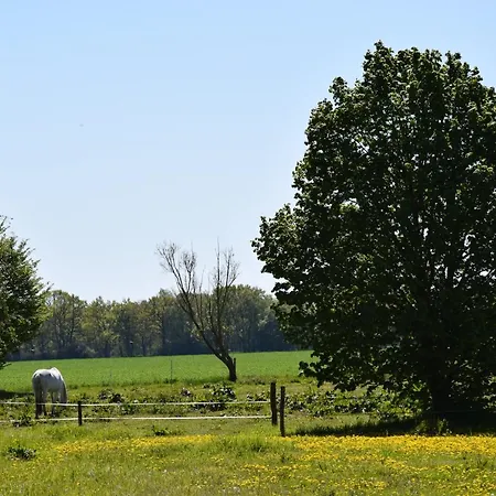 Hotel Gutshaus Volzrade *