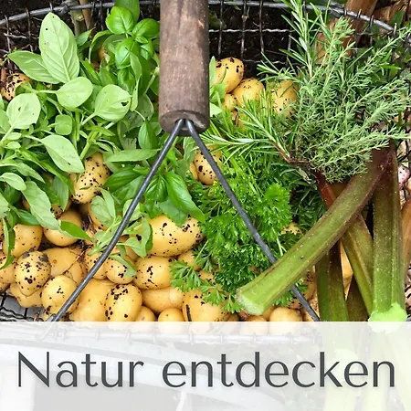 Hotel Gutshaus Volzrade