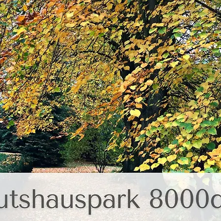 Gutshaus Volzrade Hotel Lubtheen