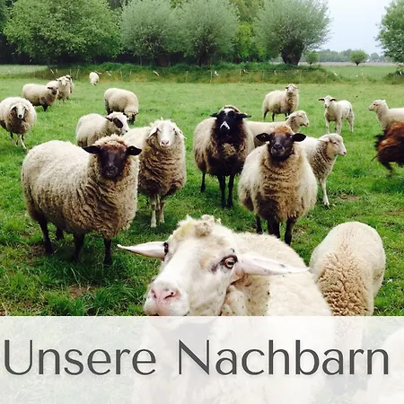 Gutshaus Volzrade Hotel Lubtheen