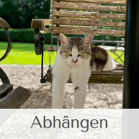 Gutshaus Volzrade Hotel *